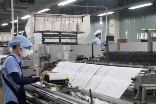 Làm mát bền vững: Giải bài toán tiết kiệm năng lượng và giảm phát thải