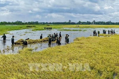 Tây Ninh gia cố lá chắn trước mùa lũ Đồng Tháp Mười