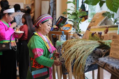 Thúc đẩy nông nghiệp sinh thái: Phụ nữ và thanh niên là chủ thể dẫn dắt sự thay đổi