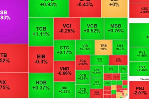 Chứng khoán sáng 14/9: VN-Index chìm trong sắc đỏ