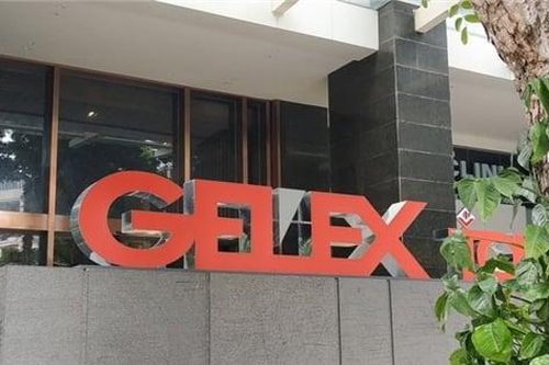 Nhóm cổ phiếu ‘họ Gelex’ giảm sàn sau thông tin lãnh đạo bị khởi tố