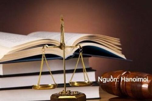Từ 1/12, Chính phủ bãi bỏ toàn bộ hoặc một phần đối với 24 nghị định