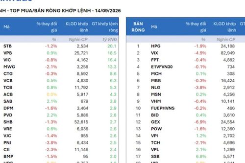 Khối ngoại mua ròng đột biến hơn 800 tỷ đồng