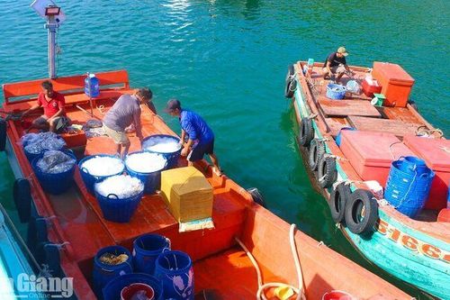 Sơn Hải tạo chuyển biến từ cơ sở