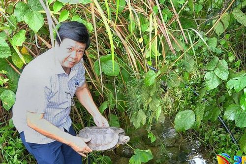 Kịp thời phát hiện, thả 2 cá thể động vật hoang dã quý hiếm về rừng