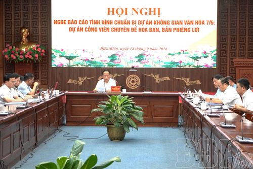 Xây dựng dự án không gian văn hóa 7/5 và công viên chuyên đề Hoa Ban
