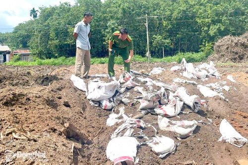 Xử lý nghiêm vi phạm về môi trường