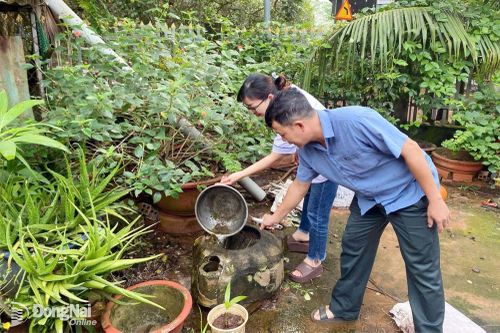 Dịch bệnh sốt xuất huyết diễn biến phức tạp, ngành y tế Đồng Nai tập huấn cho 95 xã, phường