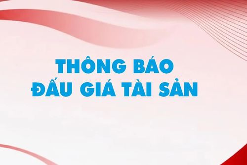 Công ty Đấu giá Hợp danh Lam Sơn Sài Gòn thông báo đấu giá tài sản
