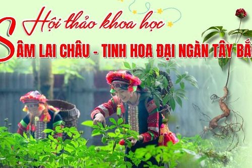 Hội thảo khoa học 'Sâm Lai Châu - Tinh hoa đại ngàn Tây Bắc'