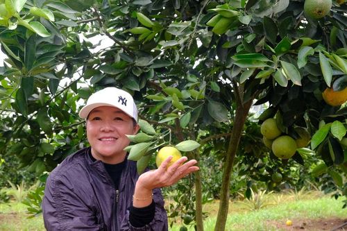 'Nốt nhạc xanh' của du lịch Lâm Đồng