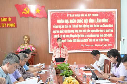 Đoàn ĐBQH Lâm Đồng khảo sát các chương trình mục tiêu quốc gia tại Tuy Phong