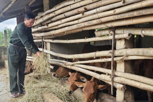 Tiếp nối tinh thần xung phong