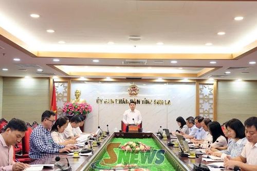 Mở rộng hoạt động của Trung tâm Hỗ trợ đổi mới sáng tạo và chuyển đổi số tỉnh