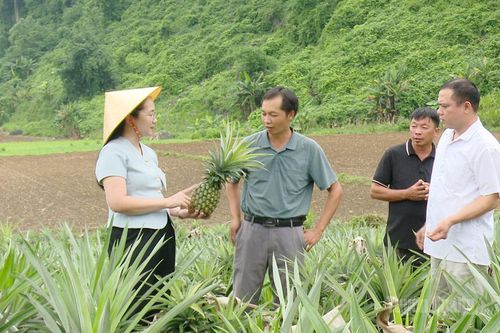 Minh Quang khơi nội lực giảm nghèo bền vững
