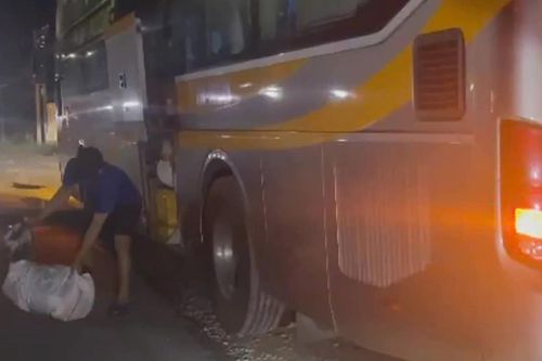 CSGT Khánh Hòa xử lý tài xế xe giường nằm vận chuyển đàn dê trong khoang hành lý