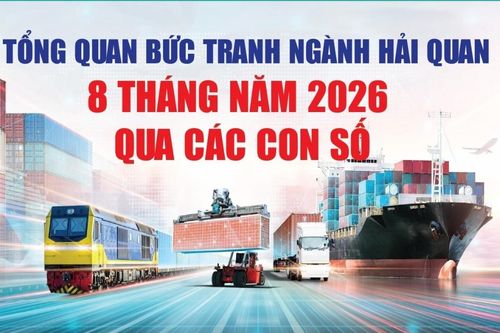 Infographics: Tổng quan bức tranh ngành Hải quan 8 tháng năm 2026 qua các con số