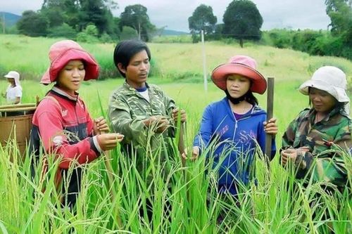Đề xuất loạt cơ chế mới thực hiện Chương trình mục tiêu quốc gia 2026 - 2035