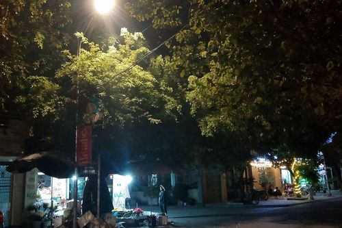 Thanh Hoá: Thôn Hoà Bình chung tay thắp sáng đường thôn