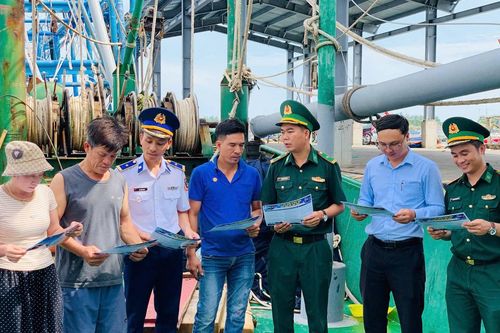 Quảng Trị siết quản lý, chống khai thác IUU, hướng tới nghề cá bền vững