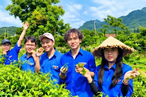 Từ sinh kế nhỏ lẻ đến làm ăn bài bản ở vùng đồng bào dân tộc miền núi