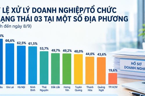 Cục Thuế hỏa tốc gỡ vướng, không để doanh nghiệp phát sinh thêm lệ phí môn bài