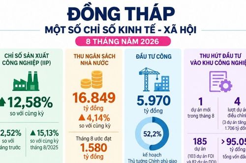 Kinh tế Đồng Tháp tháng 8: Thêm 207 doanh nghiệp mới, 3 dự án tăng vốn