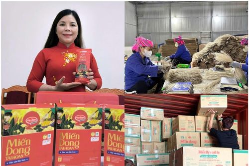 Biến lợi thế bản địa thành thương hiệu Việt trên thị trường quốc tế