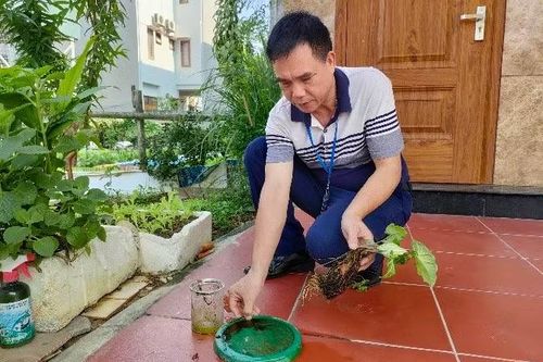 Nhiều người phải nhập viện vì sốt xuất huyết