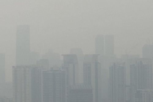 Singapore báo động ô nhiễm không khí do cháy rừng Indonesia