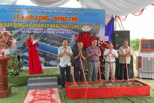 Khởi công xây dựng chợ cá Yên Sở để di dời chợ tạm