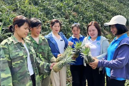 Phát huy tiềm năng, trí tuệ của phụ nữ, đóng góp vào sự phát triển tỉnh (Bài 2)