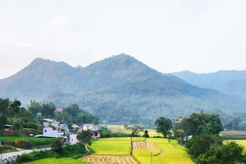 Tam Kim mở hướng sản xuất từ chuyển đổi cây trồng, vật nuôi