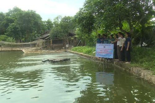 Hơn 1,2 tỷ đồng triển khai các mô hình khuyến nông