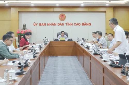 Tập trung tháo gỡ vướng mắc, đẩy nhanh tiến độ Dự án Chăn nuôi bò sữa và chế biến sữa công nghệ cao