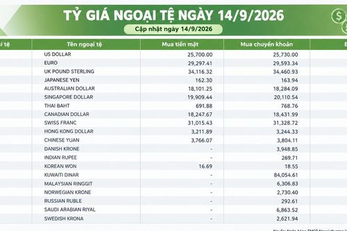 Tỷ giá ngoại tệ ngày 14/9: USD trên 26.000 đồng, EUR vượt 30.800 đồng