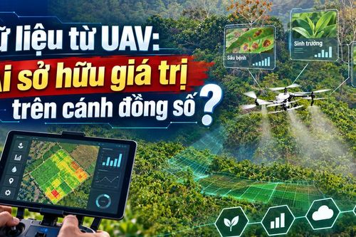 Dữ liệu từ UAV: Ai sở hữu giá trị trên cánh đồng số?
