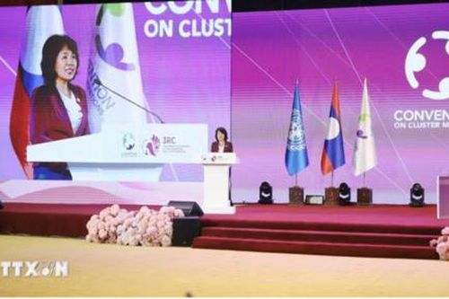 Việt Nam luôn ủng hộ các công ước quốc tế về cấm bom, đạn chùm và mìn sát thương