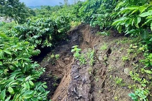 Lâm Đồng ghi nhận 47 nhà dân bị ảnh hưởng, hàng chục ha cây trồng ngập úng do mưa lũ