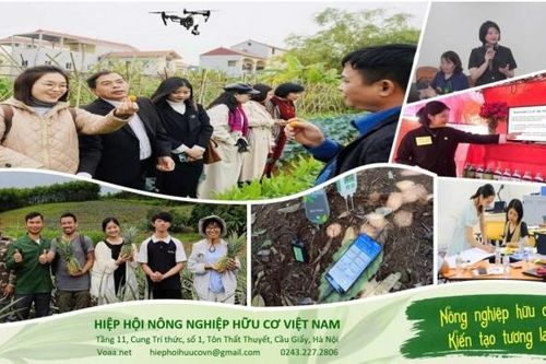 Vai trò của người trẻ trong hành trình phát triển nông nghiệp hữu cơ Việt Nam