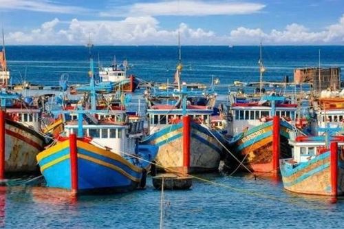 Đặc khu Phú Quý thành lập Tổ kiểm soát tàu cá, tăng cường chống khai thác IUU