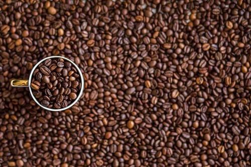 Giá cà phê hôm nay 14/9: Thế giới ổn định, trong nước giảm