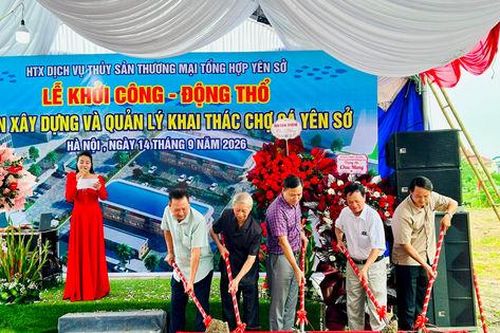 Khởi công xây dựng chợ cá Yên Sở nhằm sớm di dời chợ tạm