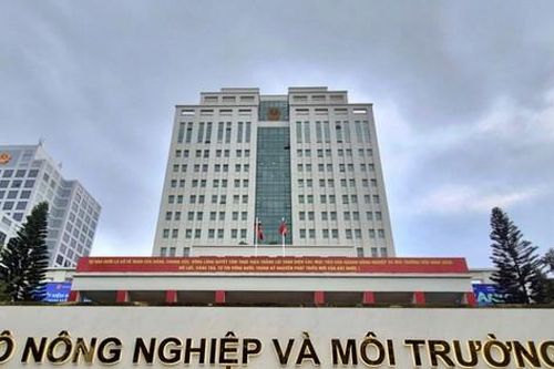 Từ 15-9, chuyển Cục Địa chất và Khoáng sản về Bộ Công Thương quản lý