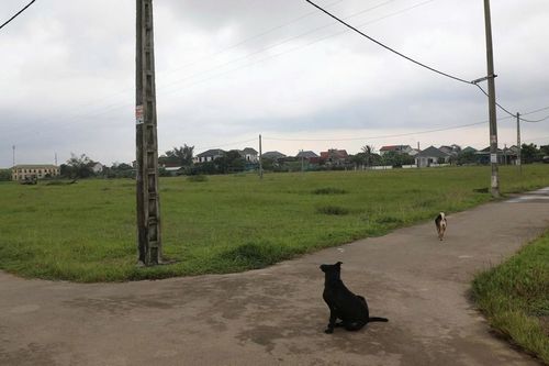 Đất tái định cư bỏ trống, dân vạn chài cần đất lại không được vào