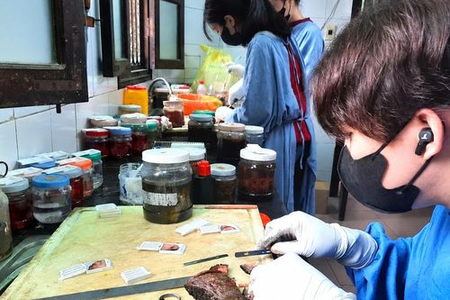 Những mảnh ghép thầm lặng của bác sĩ nội trú Đại học Y Hà Nội