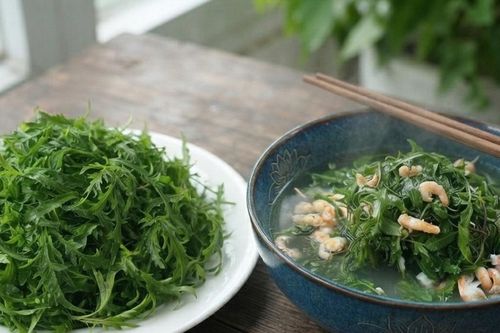 Lá đinh lăng ăn sống hay nấu chín tốt hơn cho sức khỏe?