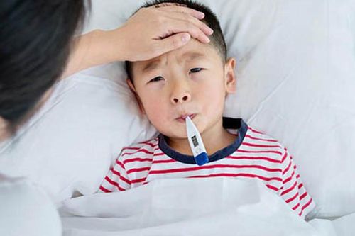 Bù nước đúng cách và ăn uống giúp người bệnh sốt xuất huyết sớm hồi phục