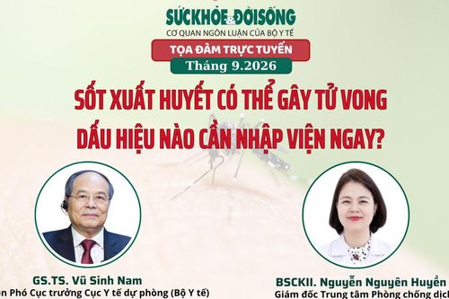 Truyền hình trực tuyến: Sốt xuất huyết có thể gây tử vong, dấu hiệu cần nhập viện