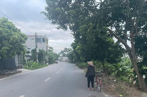 Thấy bà cụ đi xe đạp một mình, 2 thiếu niên áp sát cướp giật tài sản